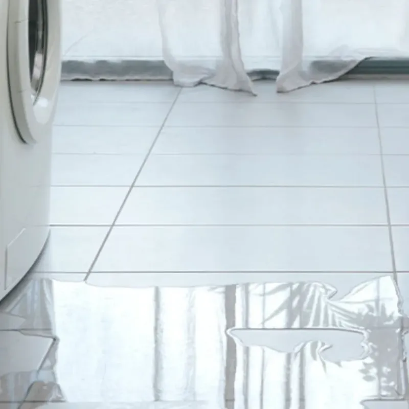 Appliance Leak Cleanup in Wildomar, CA